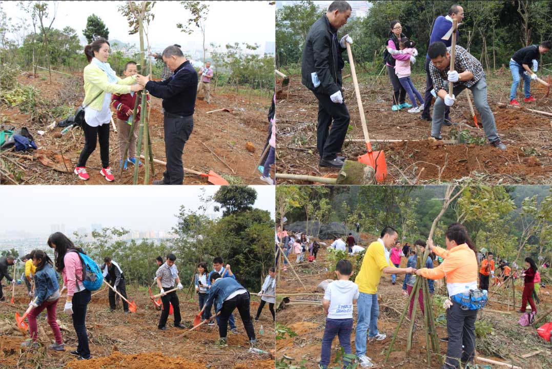 20160321164820_6718.jpg 20160321164820_6718.jpg