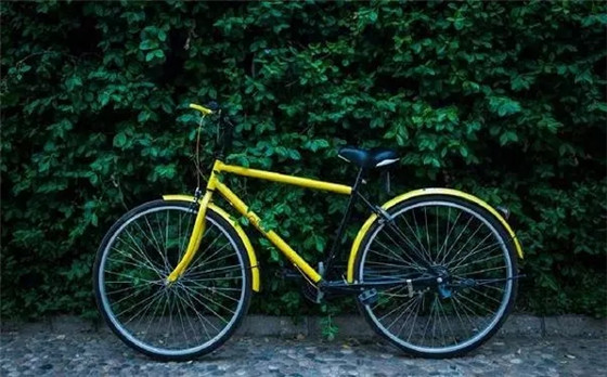 0ed887448154fa1a.jpg 0ed887448154fa1a.jpg