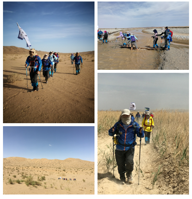 1527229486179787.png 1527229486179787.png