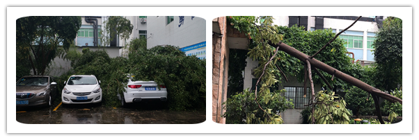 initpintu_副本3.png initpintu_副本3.png