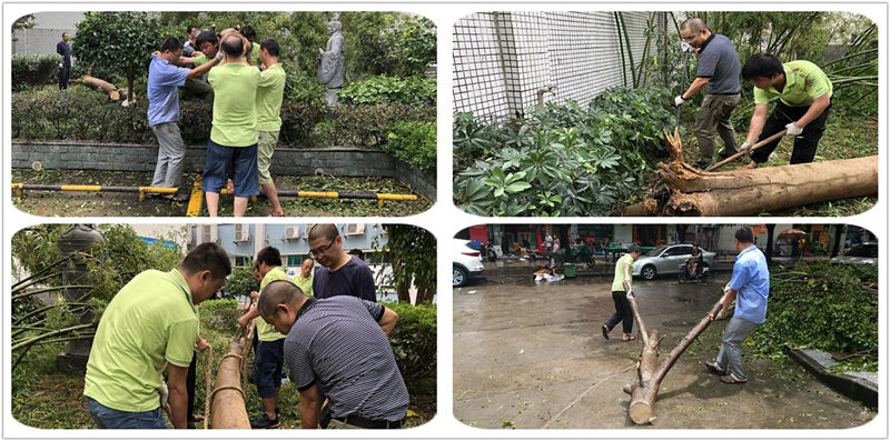 未命名.jpg 未命名.jpg