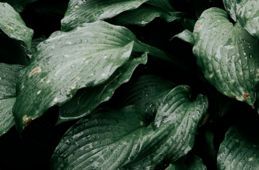 0a6c55a82c5f42689277b6e9551eb4e9.png 0a6c55a82c5f42689277b6e9551eb4e9.png