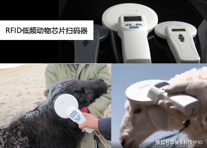 7c6c3efe5d0b4b08beca33e3b68ed9c6.jpeg 7c6c3efe5d0b4b08beca33e3b68ed9c6.jpeg